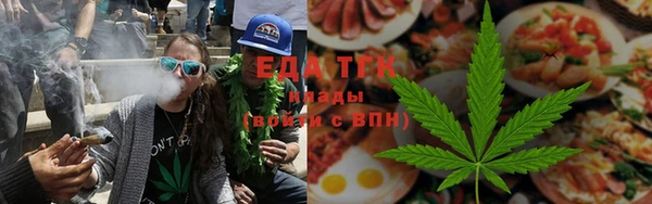сатива Беломорск