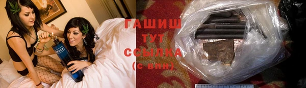 сатива Беломорск