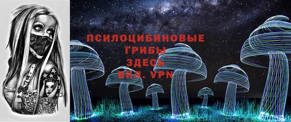 ПСИЛОЦИБИНОВЫЕ ГРИБЫ Белоозёрский