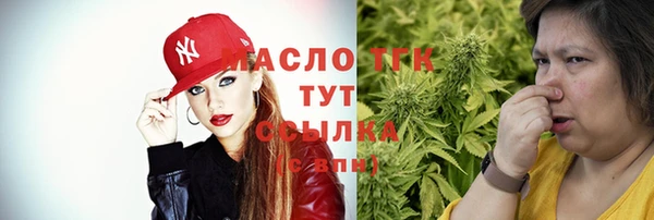 сатива Беломорск