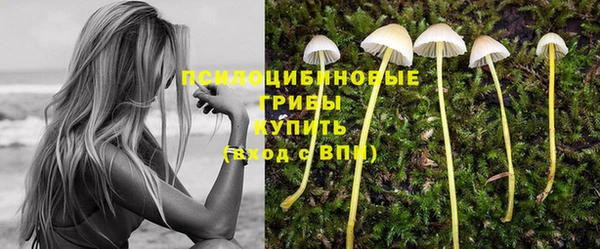 ешки Баксан