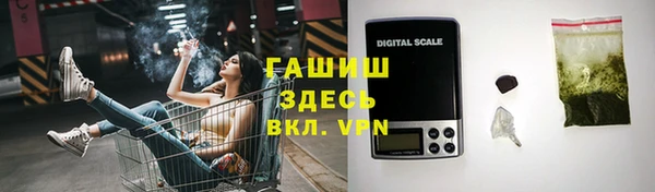 сатива Беломорск