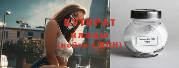 сатива Беломорск