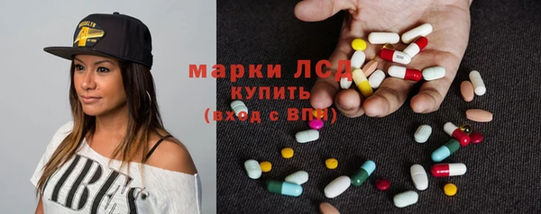 сатива Беломорск