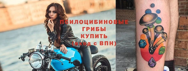 ПСИЛОЦИБИНОВЫЕ ГРИБЫ Белоозёрский