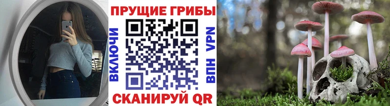 хочу   Каспийск  Галлюциногенные грибы мицелий 