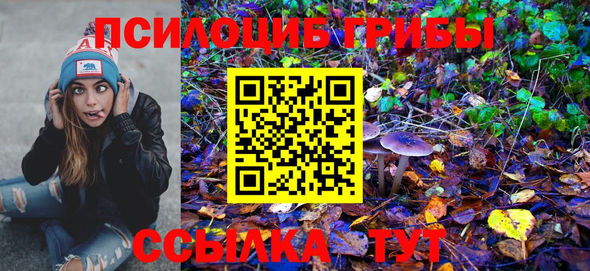Галлюциногенные грибы ЛСД Каспийск